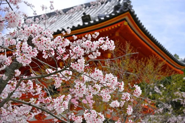 京都の四季で異なる景色の魅力